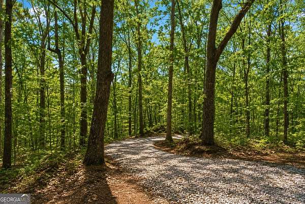 11 Acres of Recreational & Residential Land for Sale in Eastanollee, Georgia