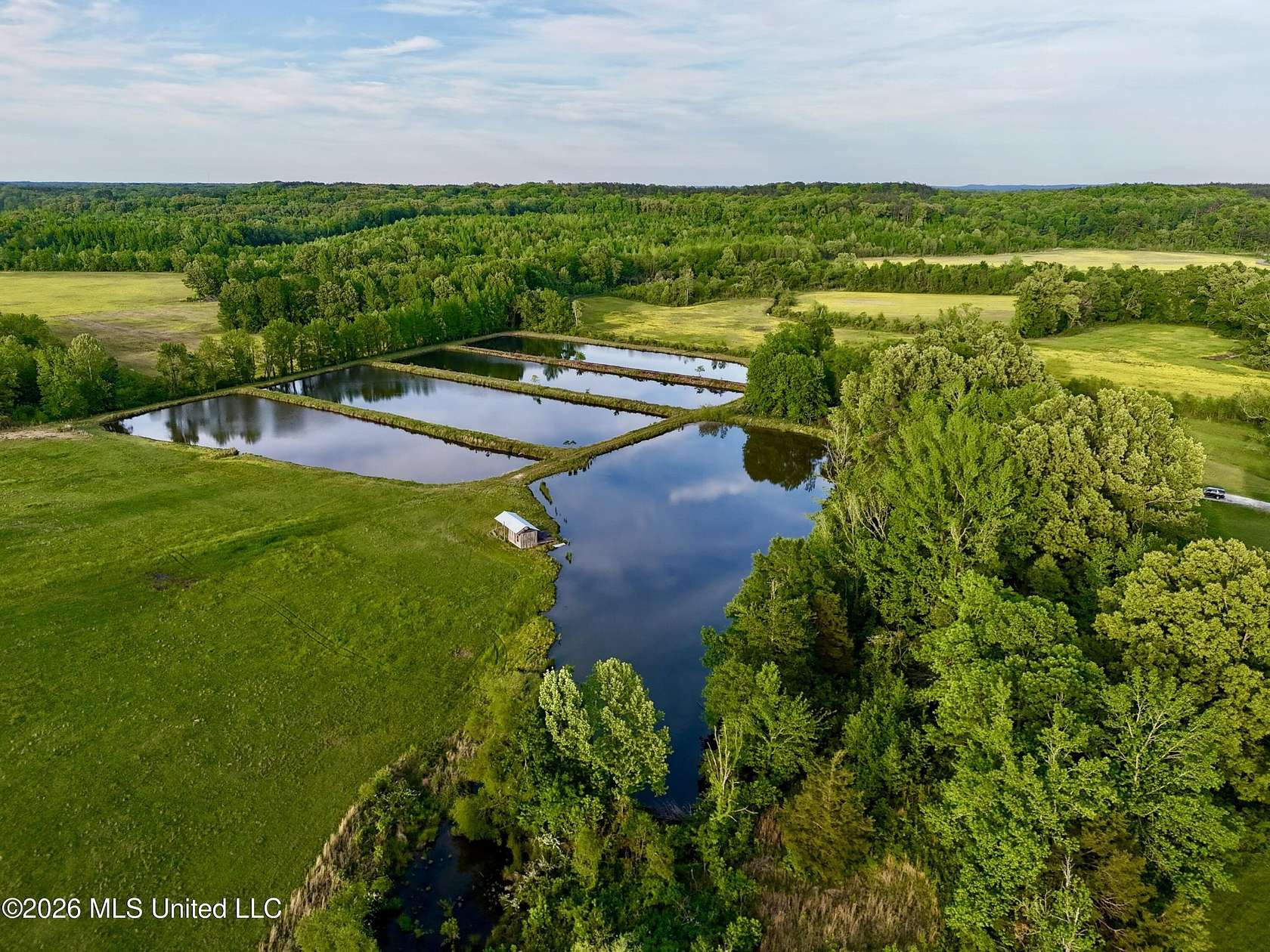 176 Acres of Land for Sale in Tiplersville, Mississippi