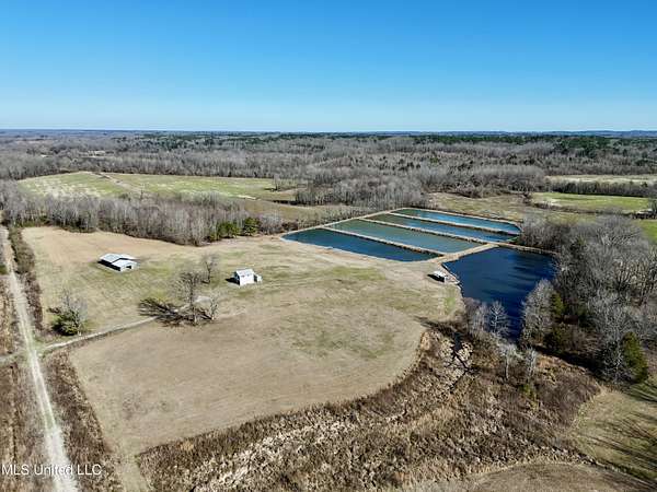 176 Acres of Land for Sale in Tiplersville, Mississippi