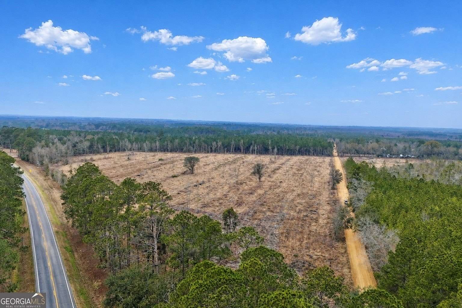 27 Acres of Land for Sale in Glennville, Georgia