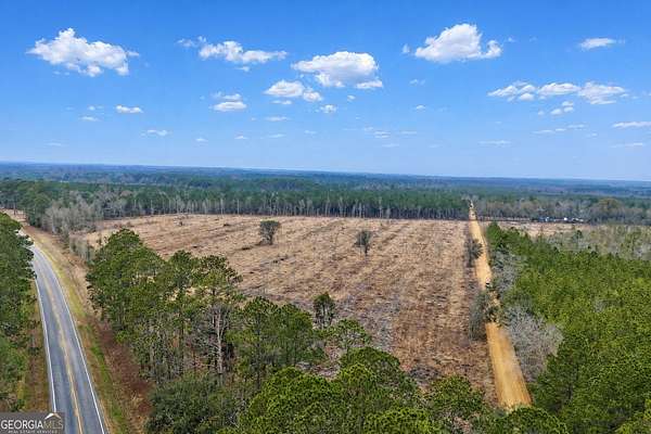 27 Acres of Land for Sale in Glennville, Georgia