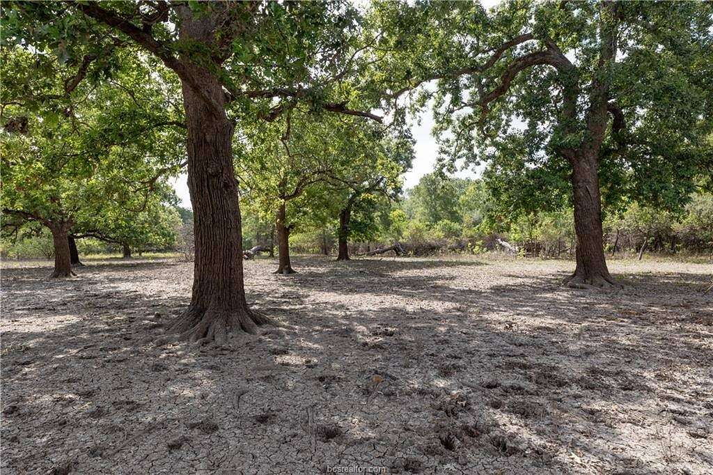 27 Acres of Land for Sale in Navasota, Texas