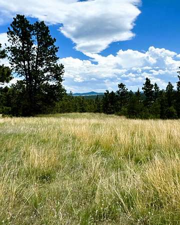 39.7 Acres of Land for Sale in Hulett, Wyoming