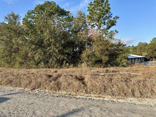 0.36 Acres of Commercial Land for Sale in Belleview, Florida