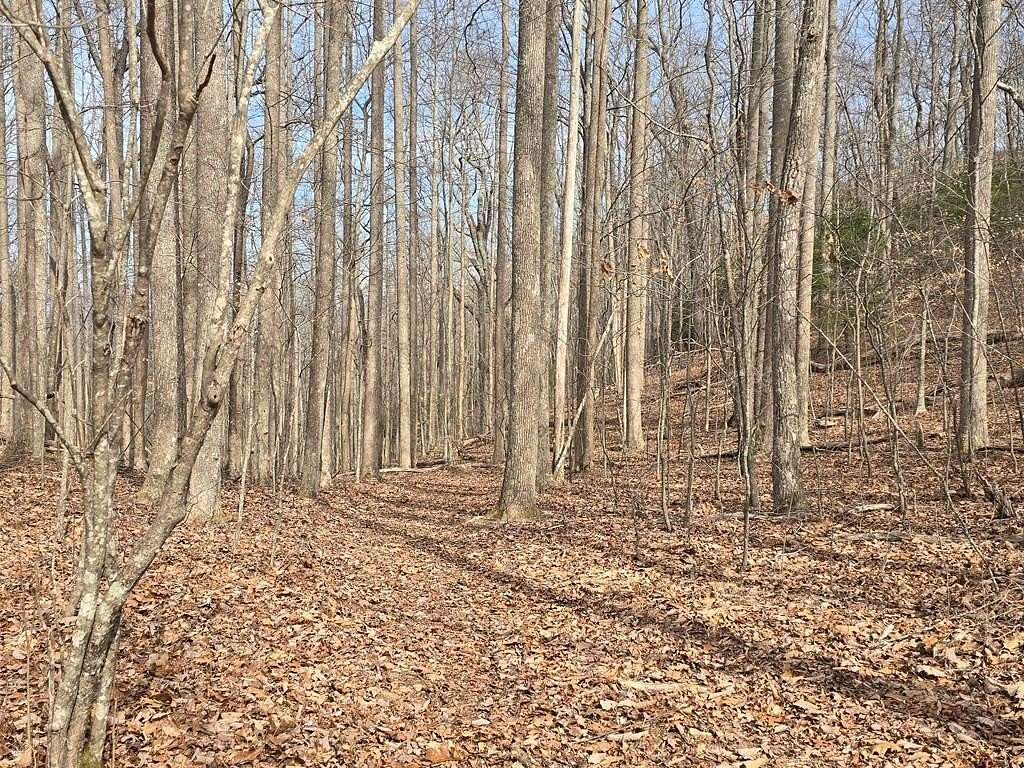 13.8 Acres of Recreational Land for Sale in Hiawassee, Georgia