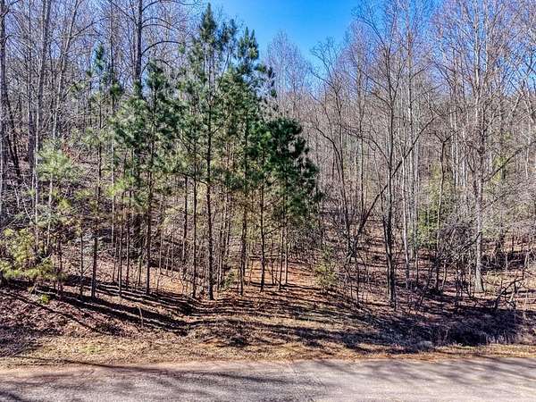 1.13 Acres of Land for Sale in Blairsville, Georgia