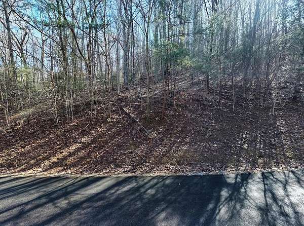 3 Acres of Land for Sale in Blairsville, Georgia