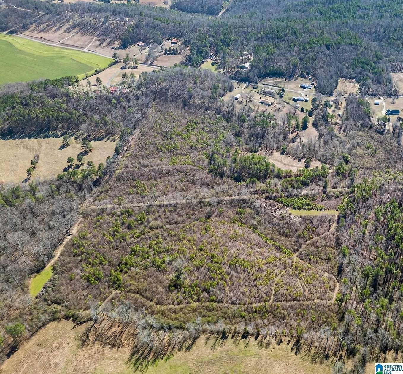 38 Acres of Recreational & Residential Land for Sale in Wellington, Alabama
