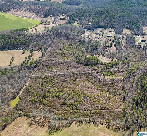 38 Acres of Recreational & Residential Land for Sale in Wellington, Alabama