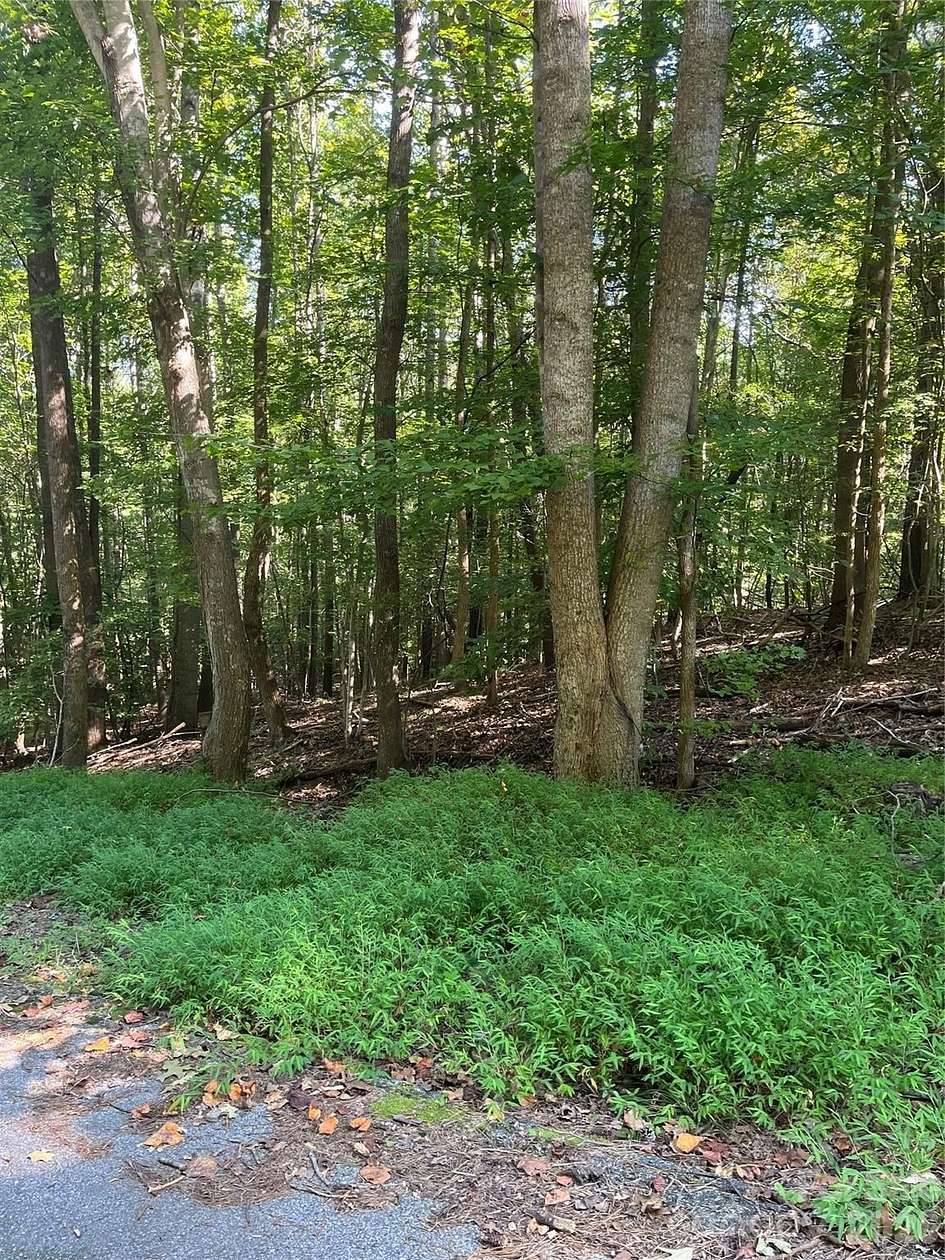 63.8 Acres of Recreational & Residential Land for Sale in Union, South Carolina