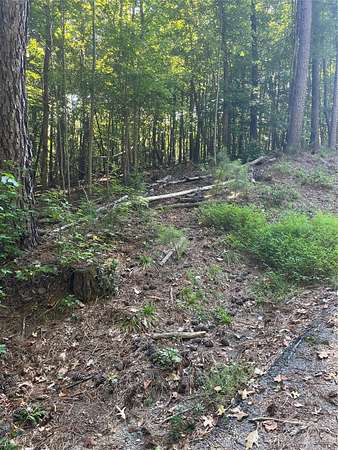 63.8 Acres of Recreational & Residential Land for Sale in Union, South Carolina