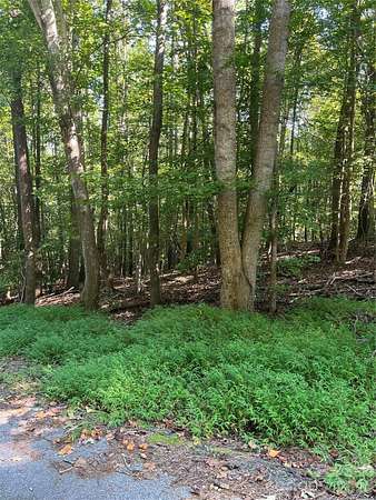 63.8 Acres of Recreational & Residential Land for Sale in Union, South Carolina