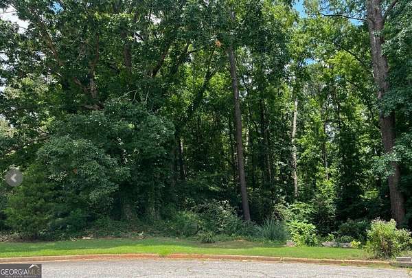 1.13 Acres of Residential Land for Sale in Tyrone, Georgia