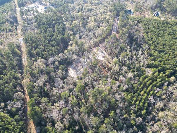 1.74 Acres of Residential Land for Sale in Livingston, Louisiana