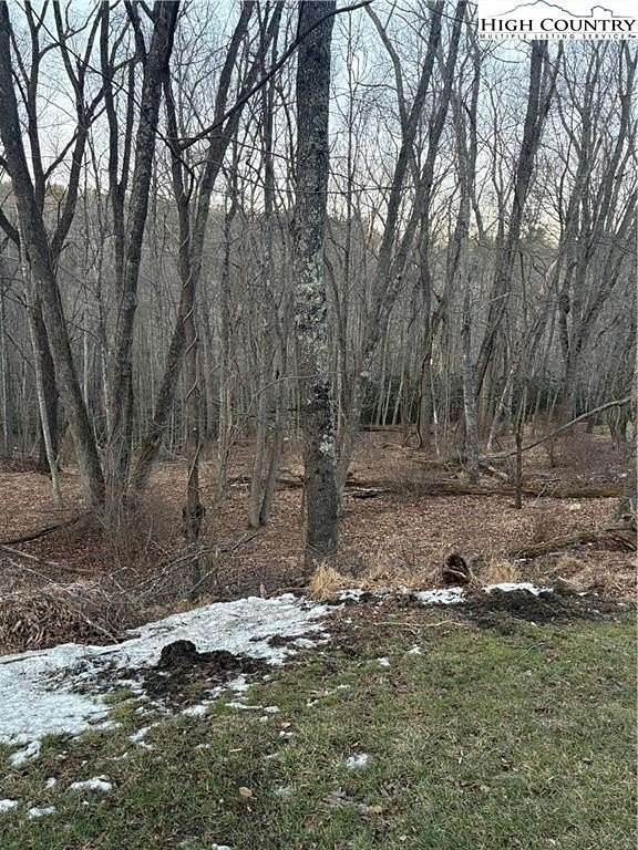 0.47 Acres of Land for Sale in Sparta, North Carolina