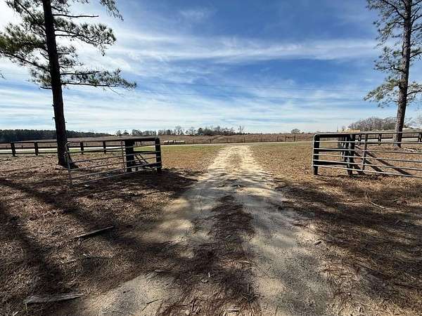 298 Acres of Recreational Land for Sale in Little Texas, Alabama