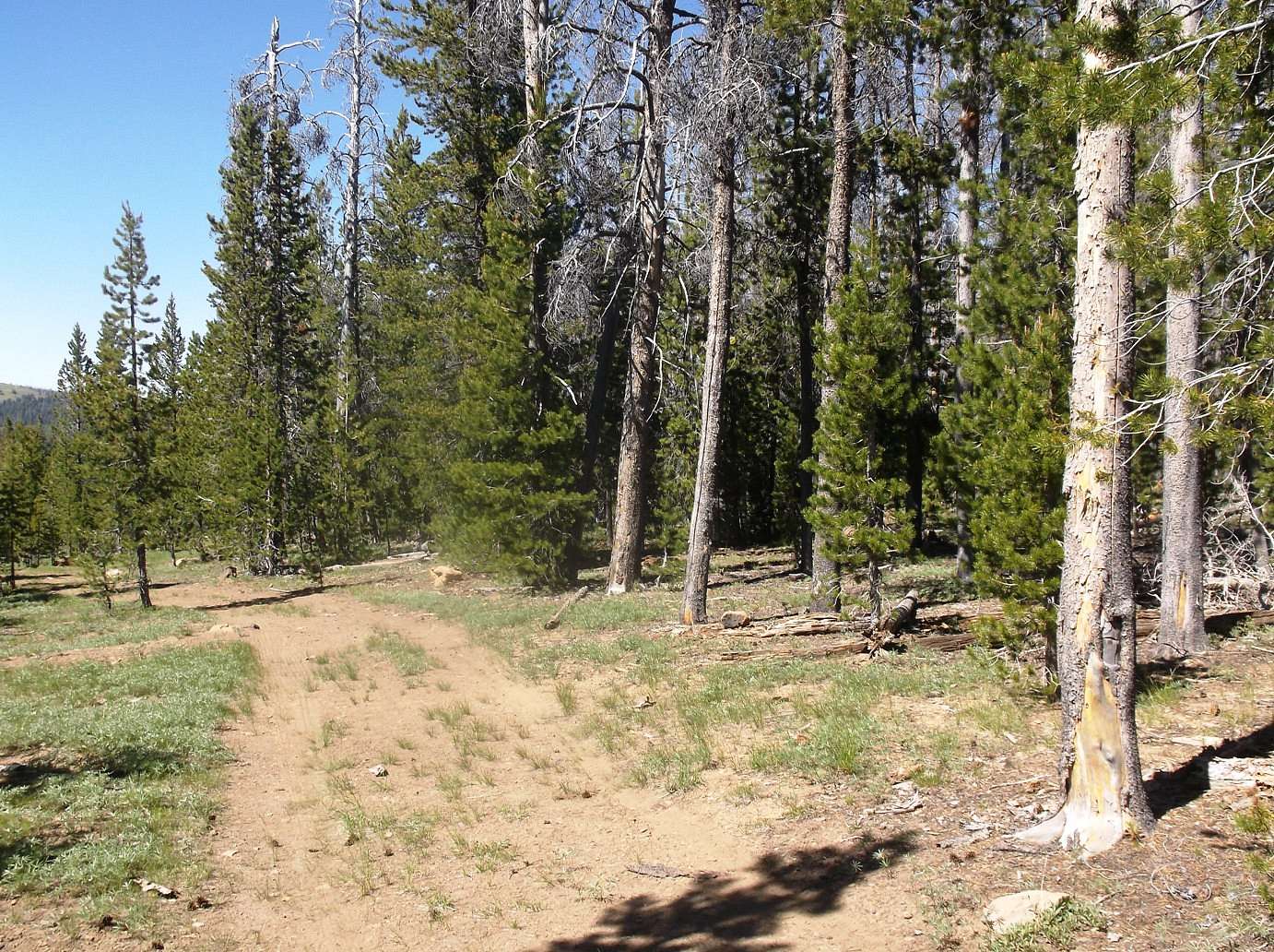 0.22 Acres of Residential Land for Sale in Paisley, Oregon