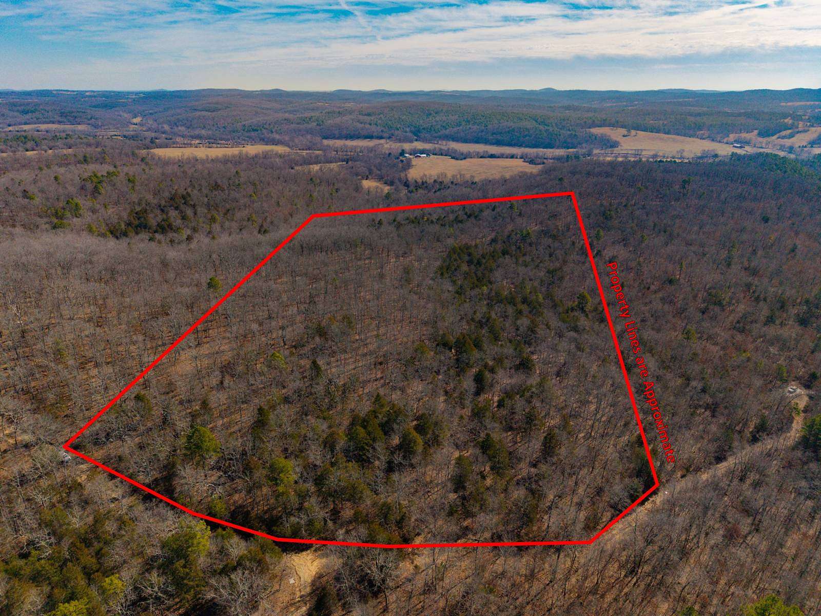 17 Acres of Recreational Land for Sale in Drury, Missouri
