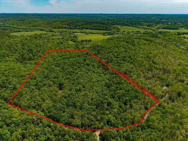 17 Acres of Recreational Land for Sale in Drury, Missouri