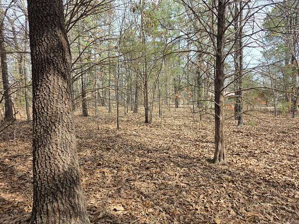 0.4 Acres of Land for Sale in Cherokee Village, Arkansas