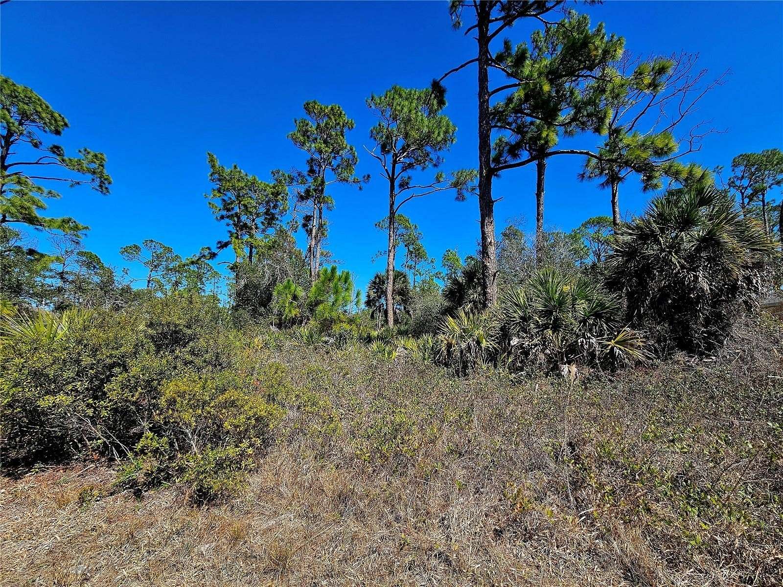 0.23 Acres of Residential Land for Sale in Port Charlotte, Florida