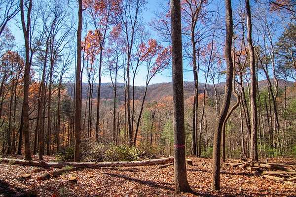 2.36 Acres of Land with Home for Sale in Blue Ridge, Georgia