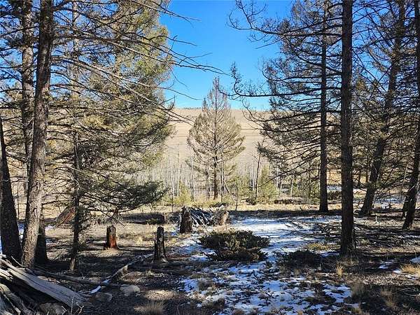 2 Acres of Residential Land for Sale in Fairplay, Colorado