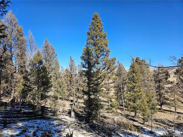 2 Acres of Residential Land for Sale in Fairplay, Colorado