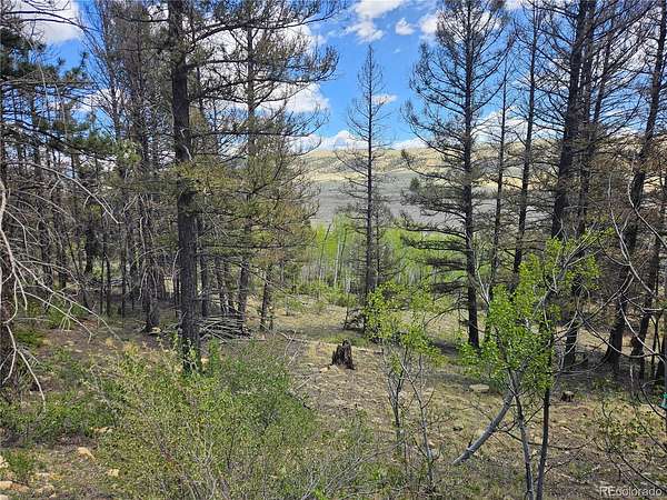2 Acres of Residential Land for Sale in Fairplay, Colorado