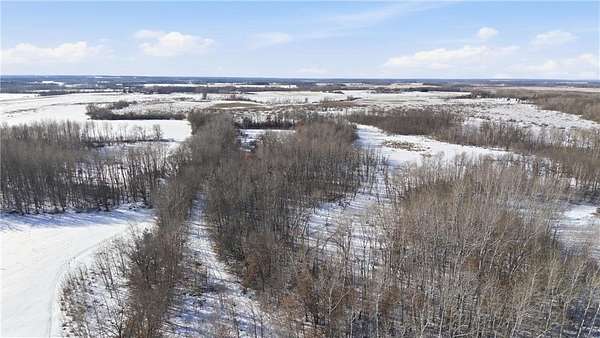 45.1 Acres of Recreational & Residential Land for Sale in Belle Prairie Township, Minnesota