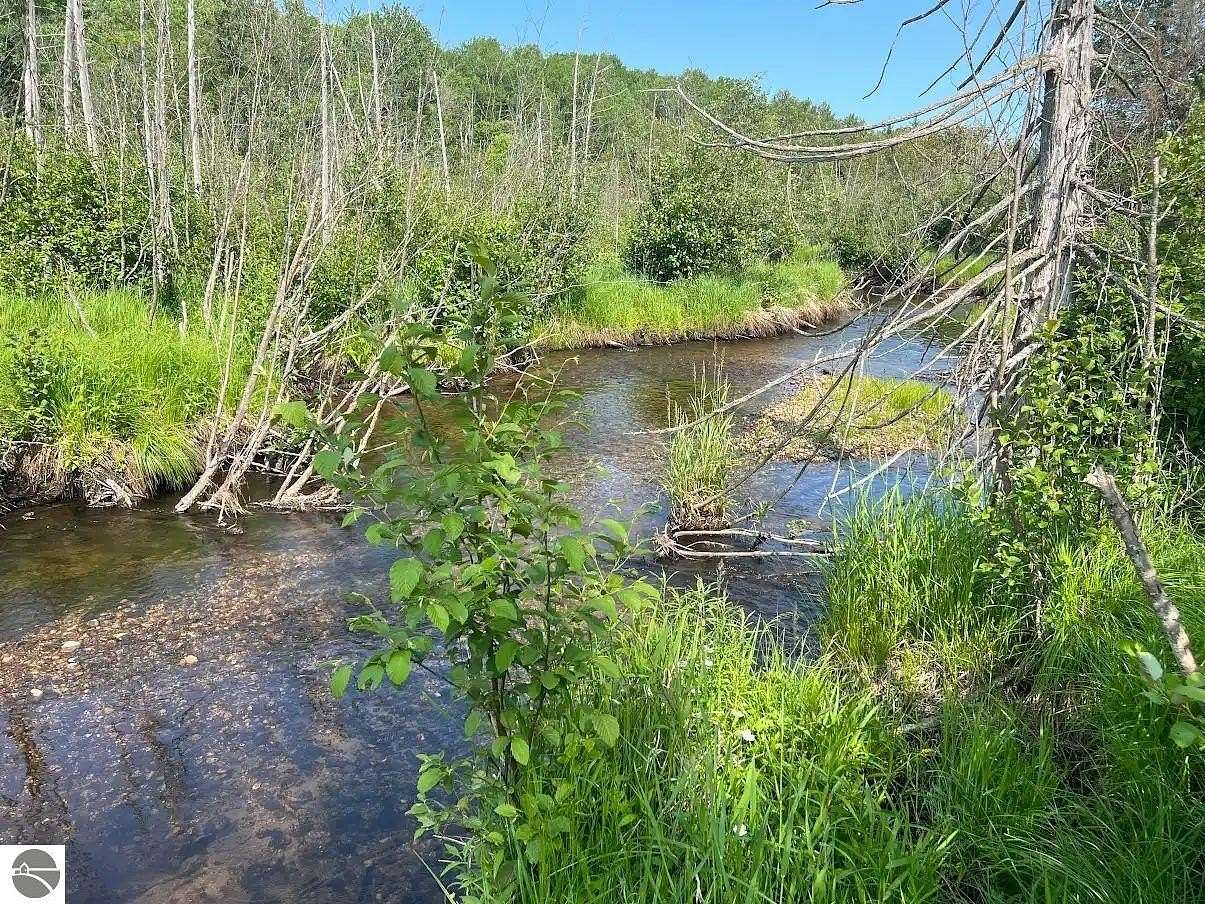80 Acres of Recreational Land for Sale in Mikado, Michigan