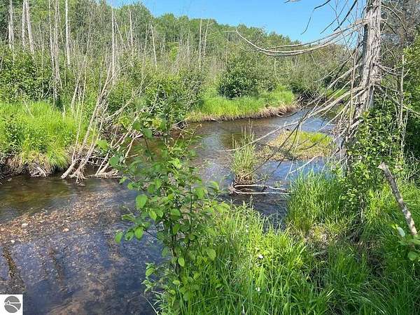 80 Acres of Recreational Land for Sale in Mikado, Michigan