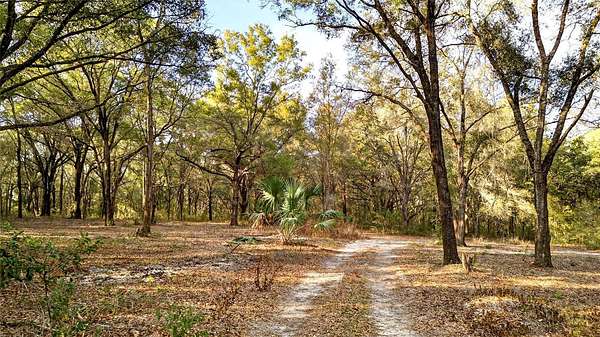 10 Acres of Land for Sale in Weirsdale, Florida