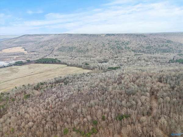 120 Acres of Recreational Land for Sale in Bryant, Alabama