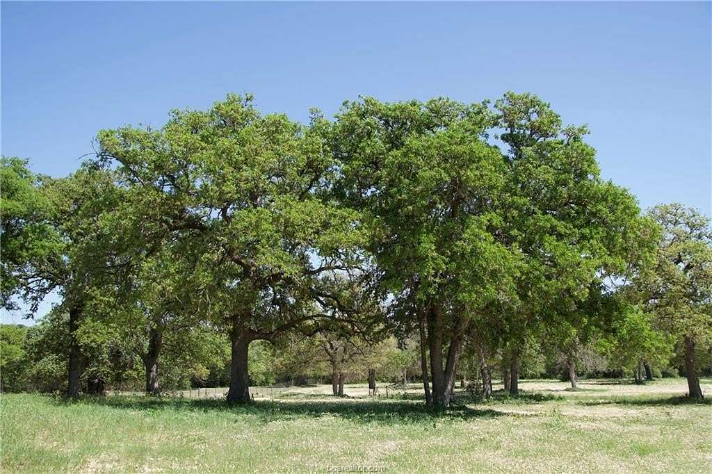 10 Acres of Residential Land for Sale in Elgin, Texas