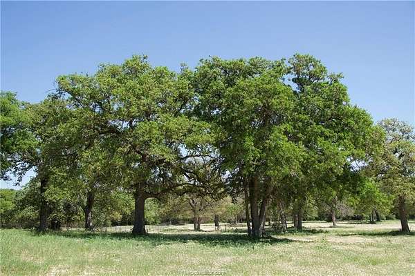 10 Acres of Residential Land for Sale in Elgin, Texas