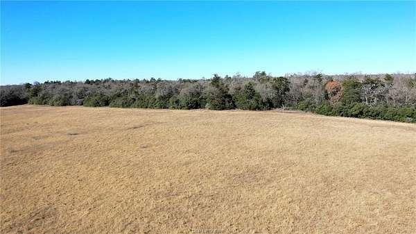 21 Acres of Agricultural & Residential Land for Sale in Caldwell, Texas