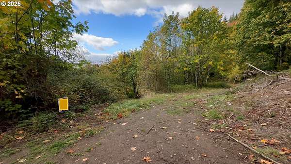 5.32 Acres of Residential Land for Sale in Woodland, Washington