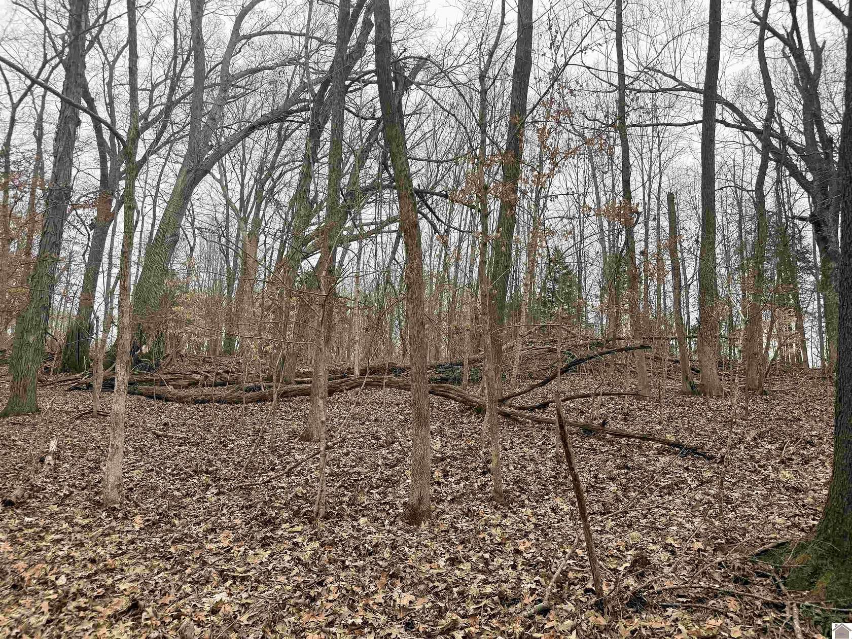 0.4 Acres of Residential Land for Sale in Cadiz, Kentucky