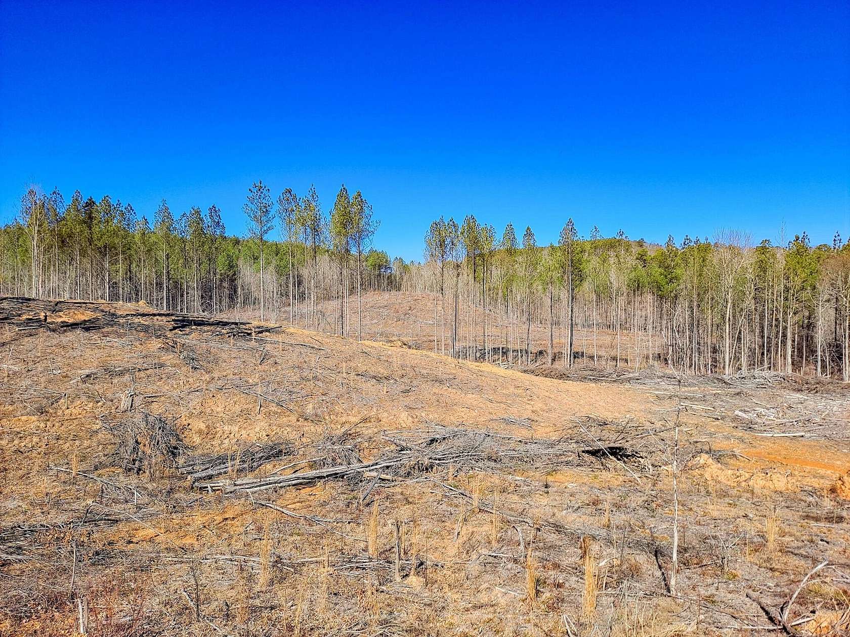 80 Acres of Recreational Land for Sale in Berry, Alabama