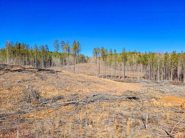 80 Acres of Recreational Land for Sale in Berry, Alabama