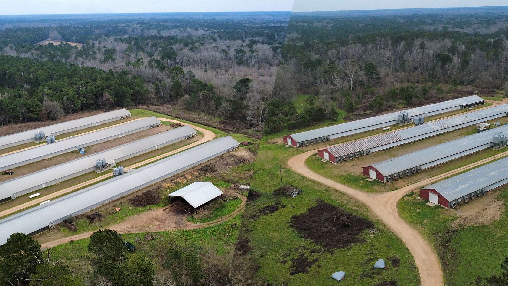 40 Acres of Agricultural Land for Sale in Summit, Mississippi