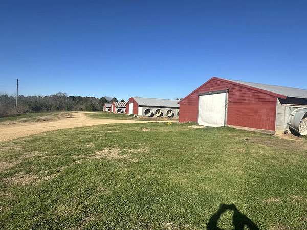 40 Acres of Agricultural Land for Sale in Summit, Mississippi