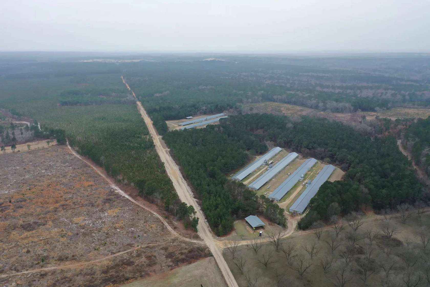 35 Acres of Agricultural Land for Sale in Hartsville, South Carolina