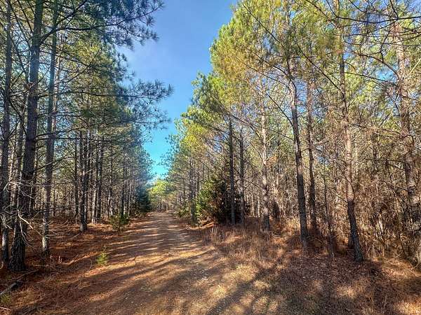 40 Acres of Recreational Land for Sale in Hohenwald, Tennessee