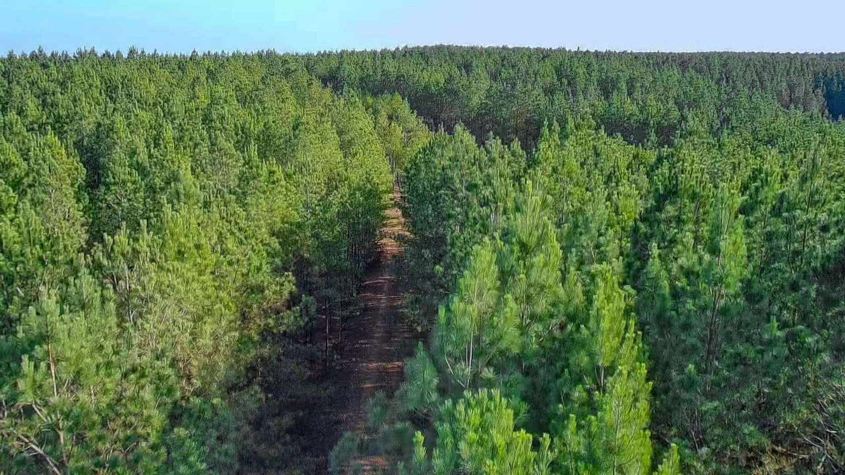 35 Acres of Recreational Land for Sale in Hohenwald, Tennessee