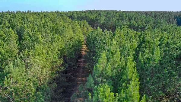 35 Acres of Recreational Land for Sale in Hohenwald, Tennessee