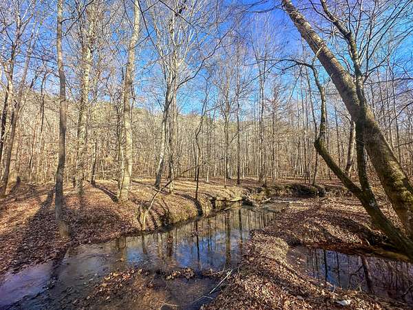 83 Acres of Land for Sale in Hohenwald, Tennessee
