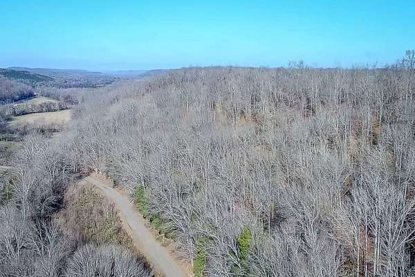 969 Acres of Recreational Land for Sale in Linden, Tennessee