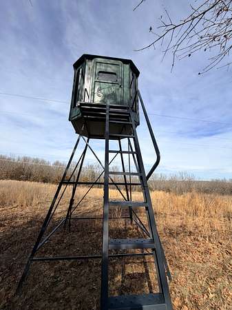 78.5 Acres of Land for Sale in Stockton, Missouri